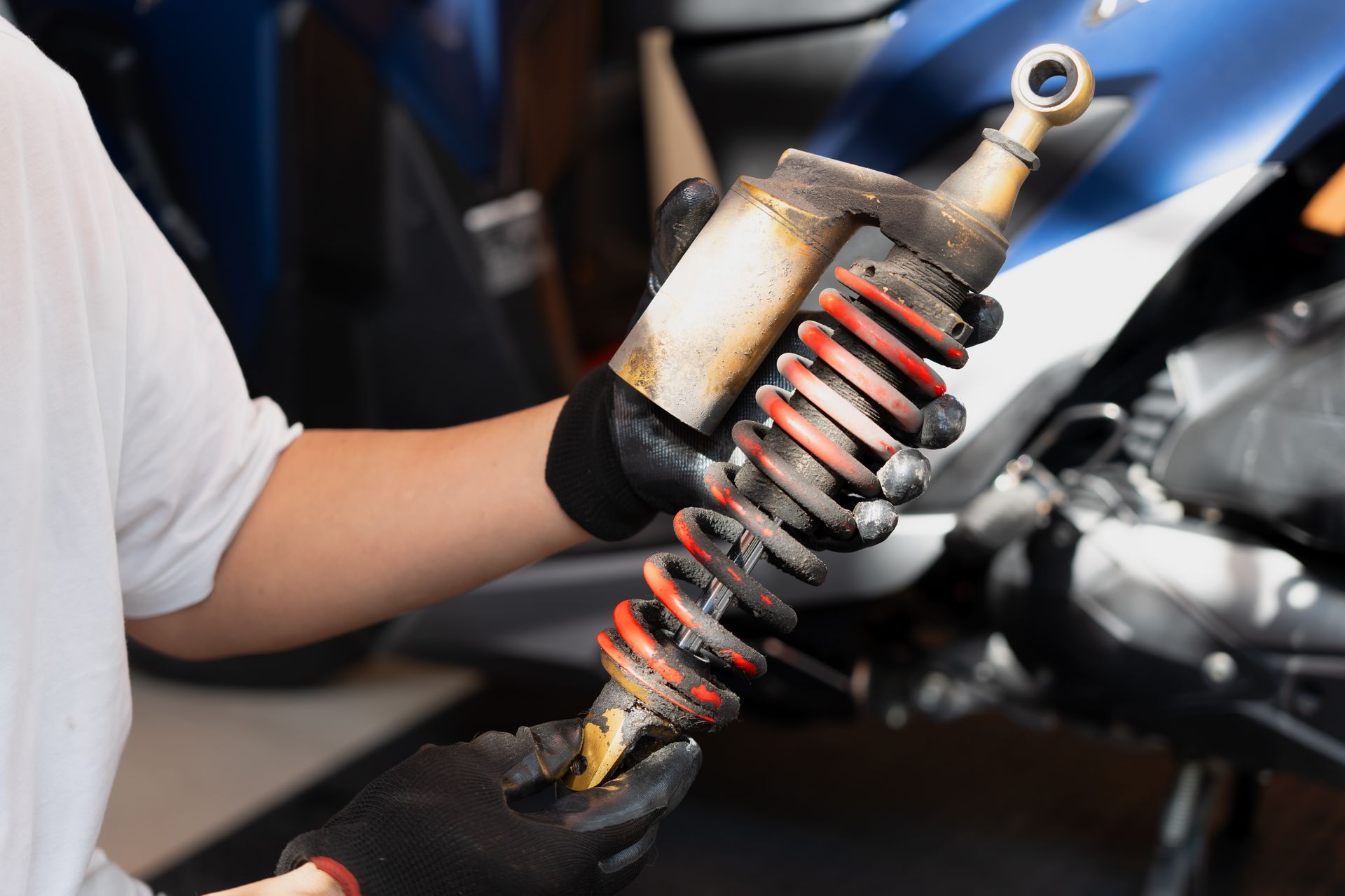 Car Struts | EG Auto Center