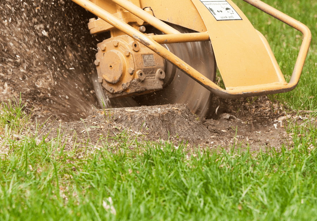 stump grinding