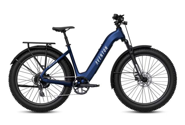 electric bicycles for sale VICTRIP R6 Moped Style Ebike / Electric Bike for Kids & Teens / Range 60 Miles / 750W / 16 inch Electric Bike ​/ USA / Pink / ebike+rack+bag