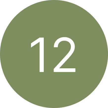 A green circle with the number 12 inside of it.