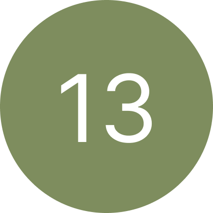 A green circle with the number 13 inside of it.