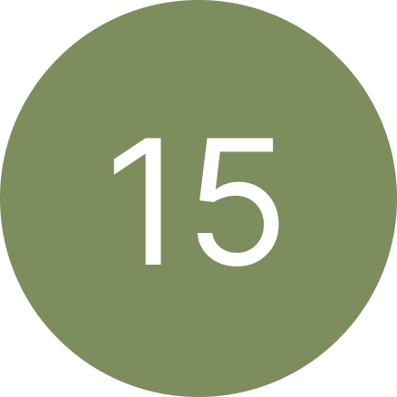 A green circle with the number 15 inside of it.