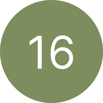 A green circle with the number 16 inside of it.