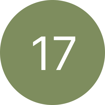 A green circle with the number 17 inside of it.