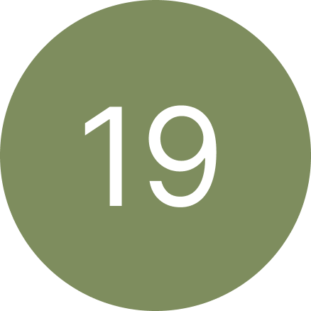 A green circle with the number 19 inside of it.