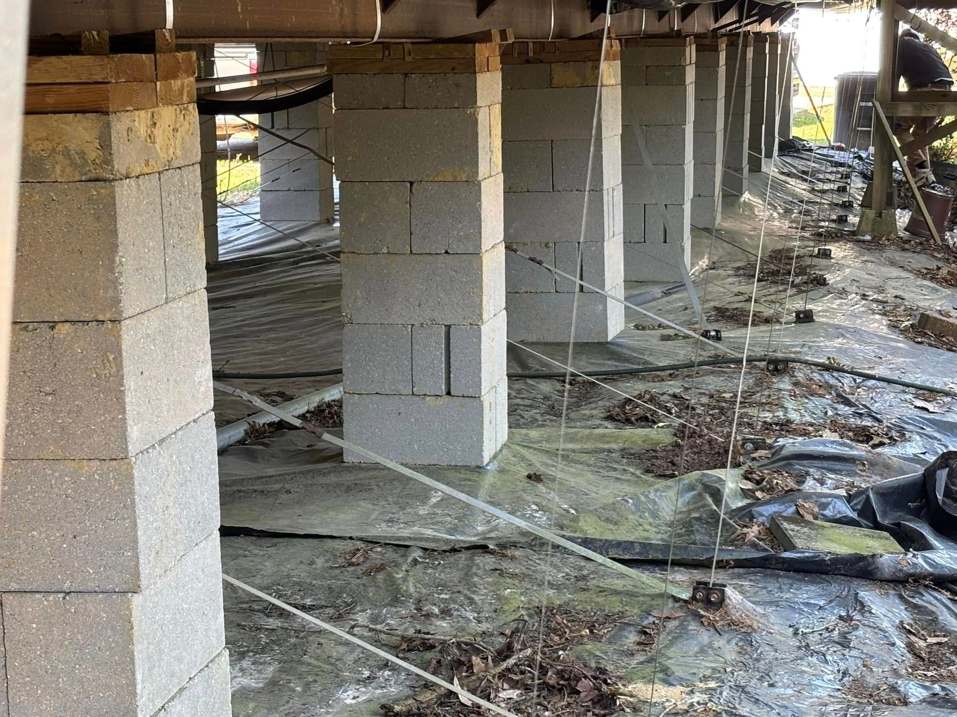 A building under construction with a lot of concrete pillars