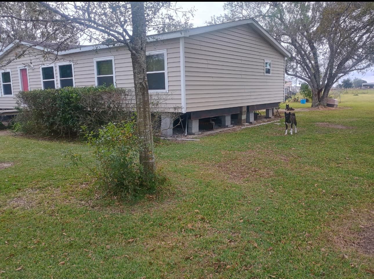 A dog is standing in front of a mobile home.