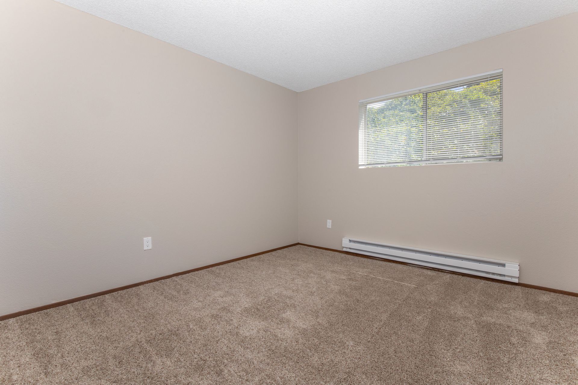 An empty bedroom with a window and a carpeted floor.