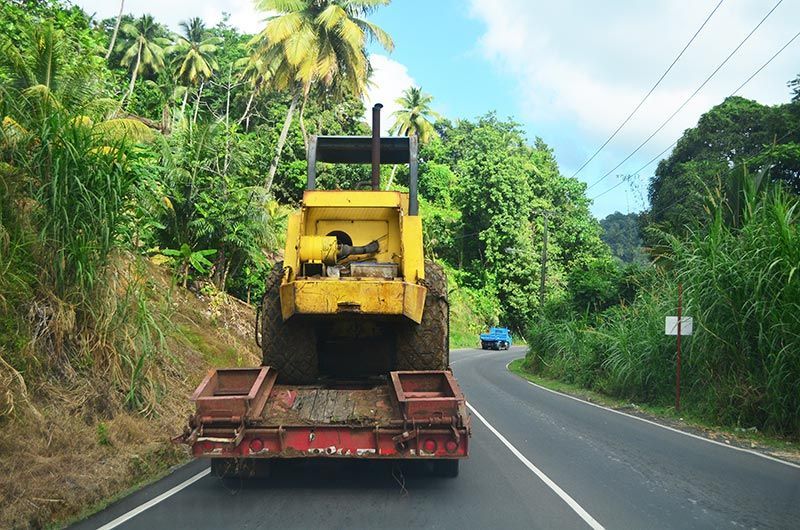 GRÚAS DE SAN FRANCISCO