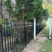 A black wrought iron fence surrounds a yard with trees.
