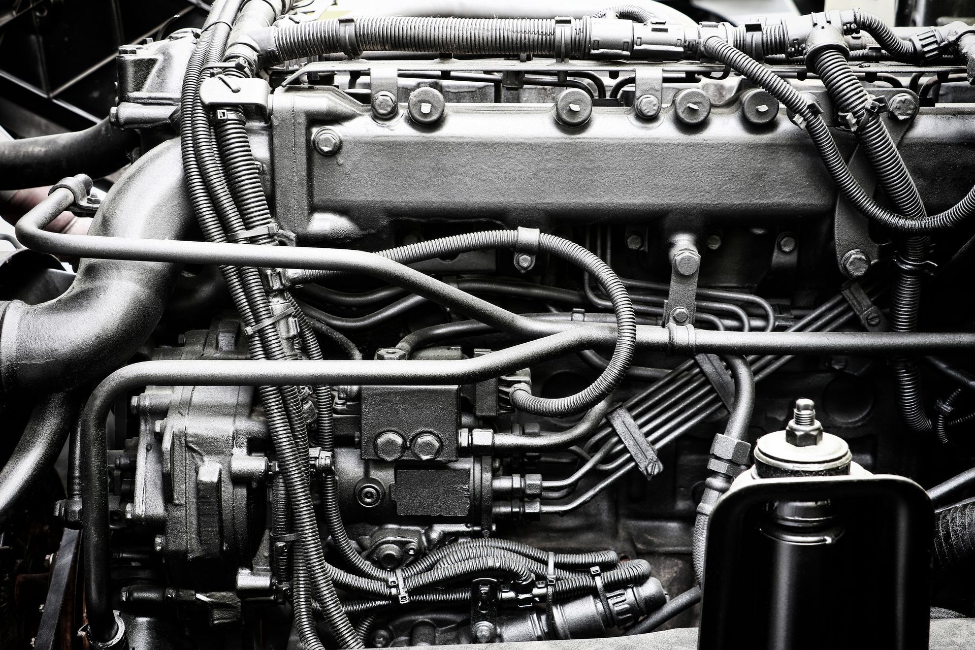 Diesel Engine Maintenance at ﻿Terry's Automotive Group﻿ in ﻿Olympia, WA﻿