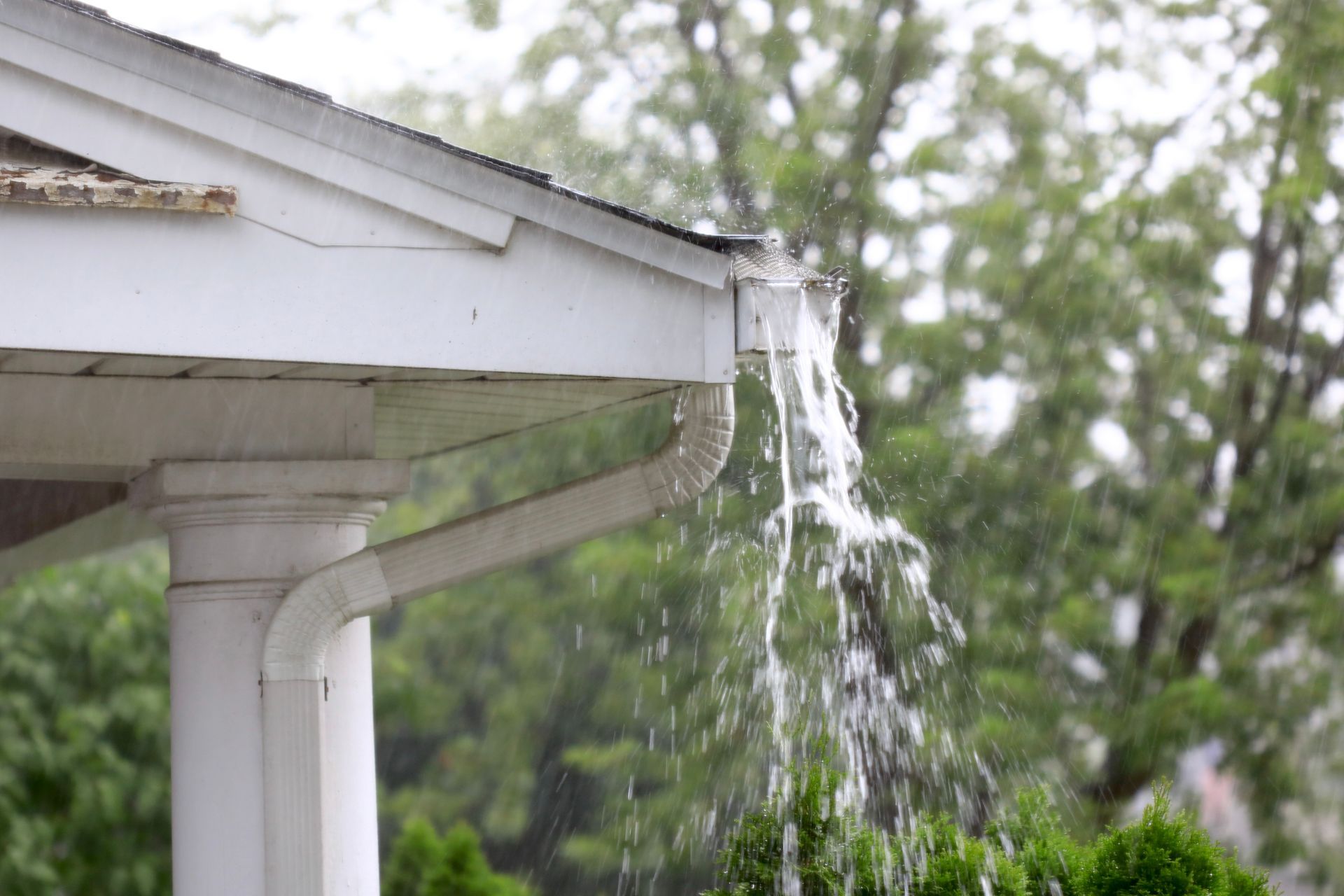 A gutter is leaking water from the roof of a house.