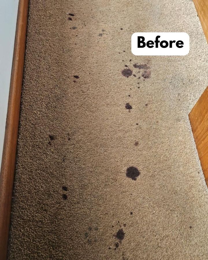 Light-colored carpeted floor featuring dark, scattered spots and stains, labeled with the word "Before" in the corner.
