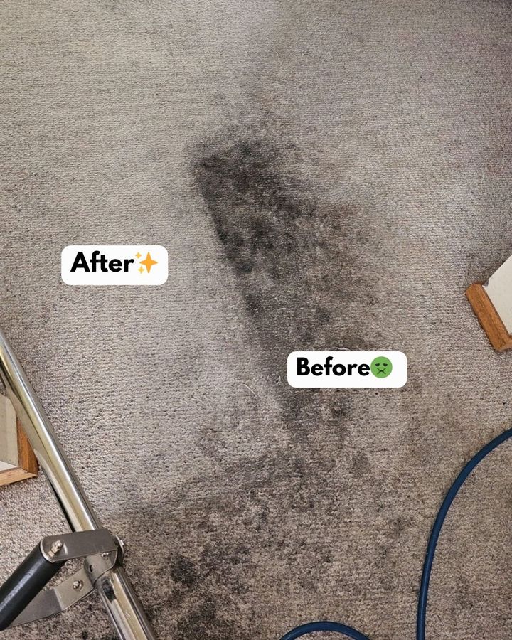 A close-up view of a light-colored carpet showing a dark, rectangular stain and a professional carpet cleaning wand.