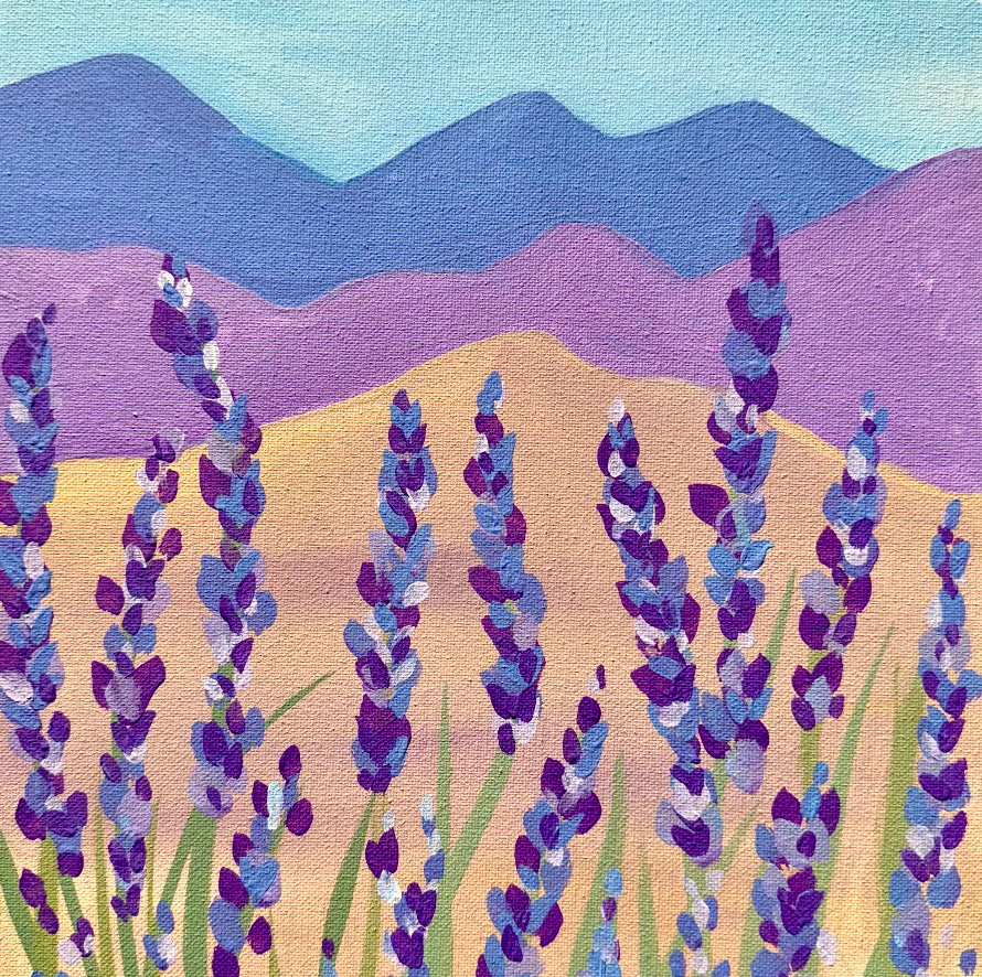 Lavender field with purple flowers and mountains in the background.