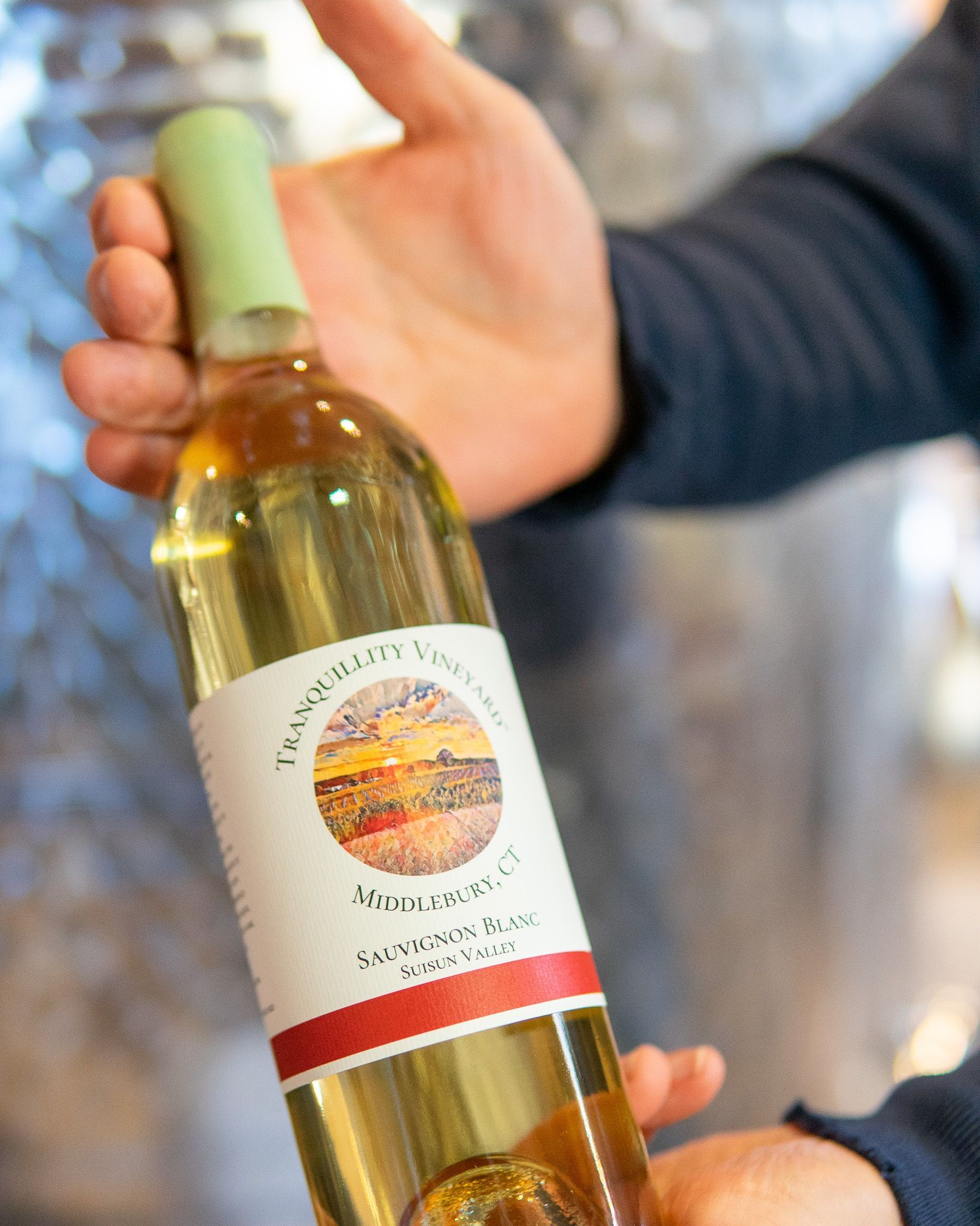 Person holding a bottle of white wine with a label featuring a landscape and red stripe.