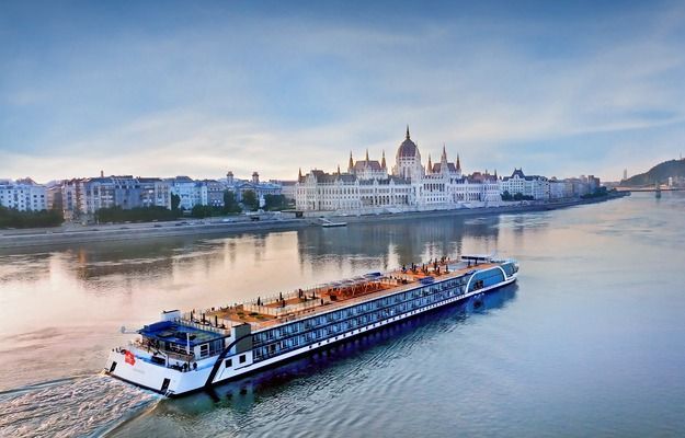 Two terracotta pots with painted pet portraits, daisy flowers, held by hands. 