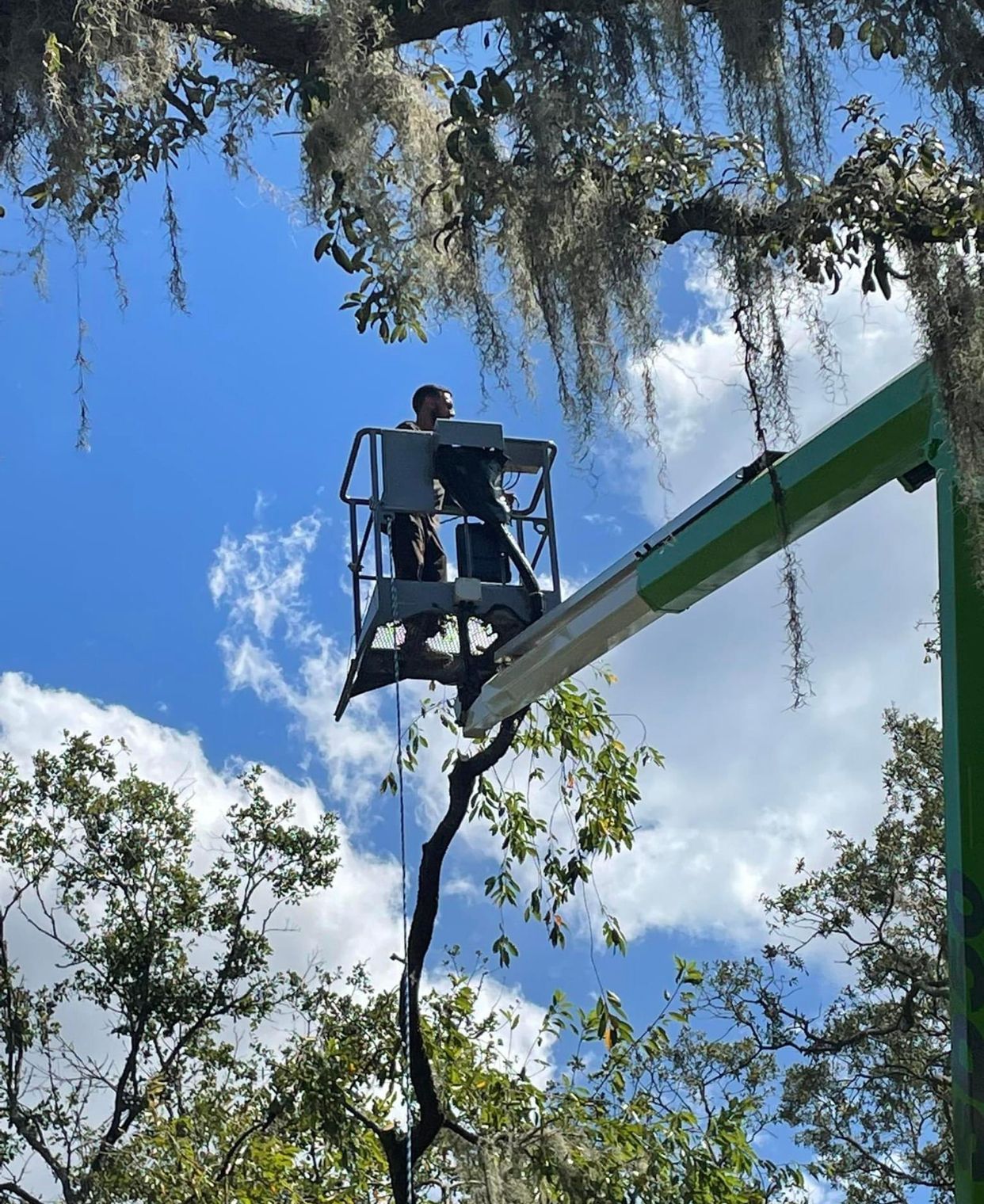 A man is cutting a tree branch with a crane.