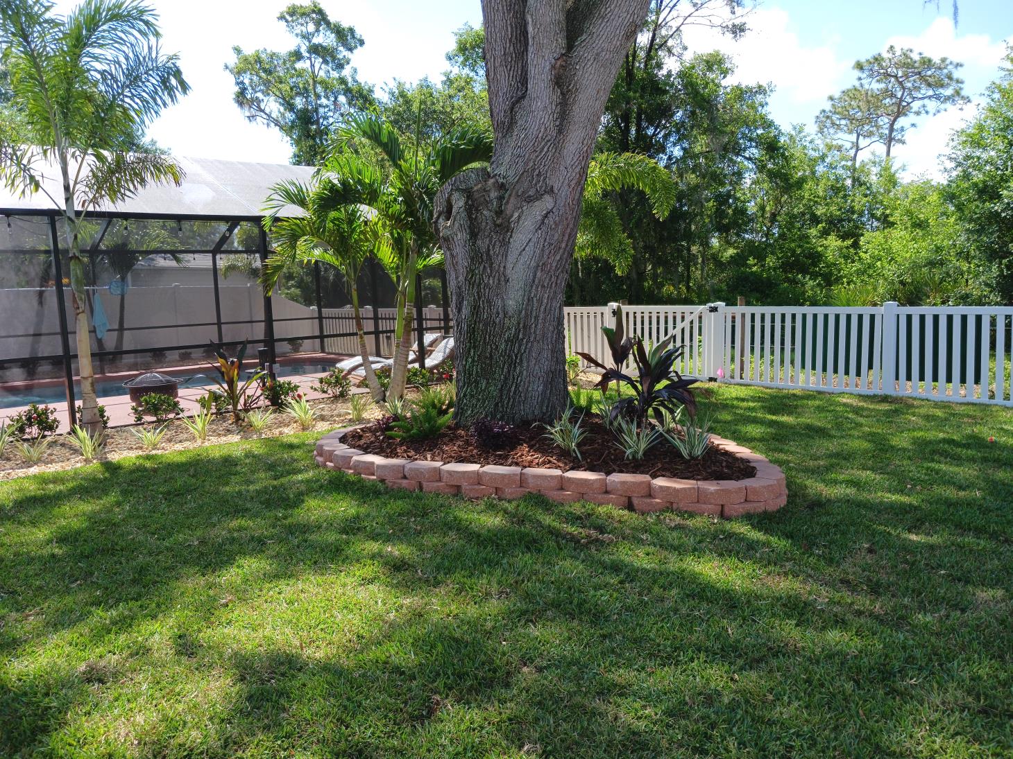 A tree in the middle of a lush green lawn next to a white fence.