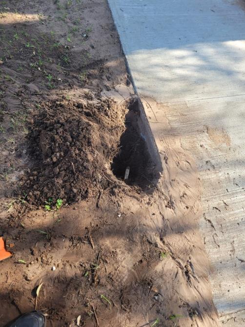 A hole in the ground next to a concrete curb.