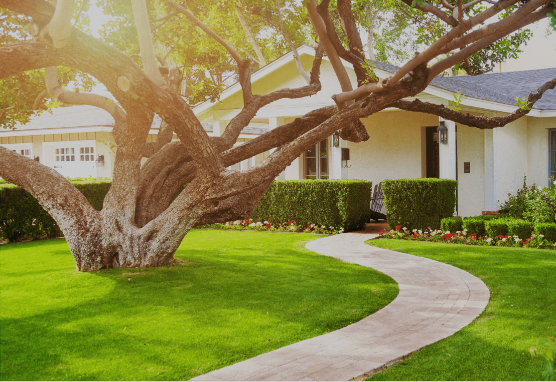 A house with a tree in front of it and a path leading to it.
