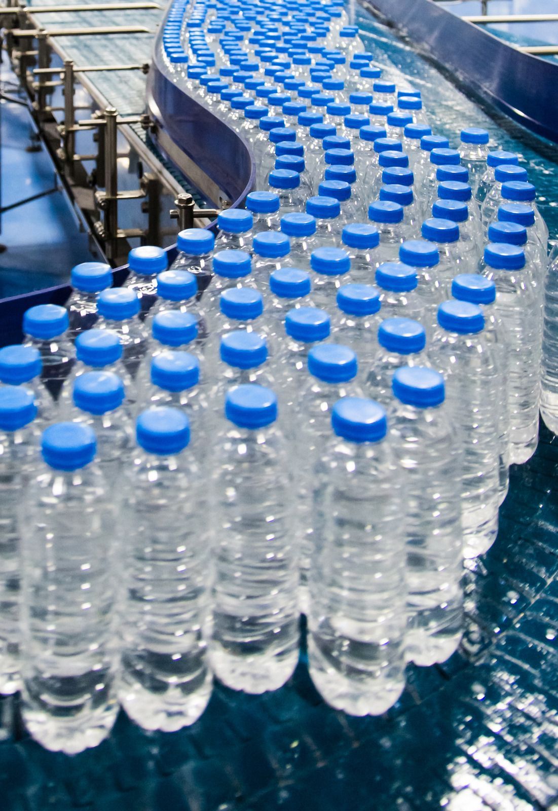 A conveyor belt filled with bottles of water with blue caps