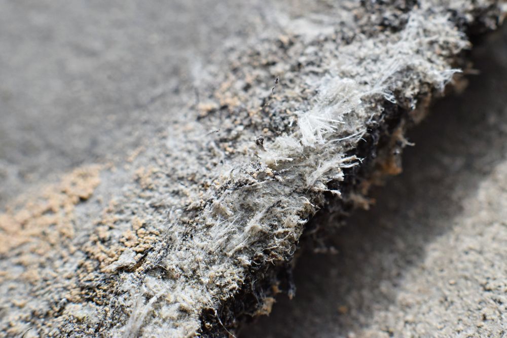 A Close Up of a Piece of Asbestos on a Concrete Surface — On Demand Diggers & Demolitions in Molendinar, QLD