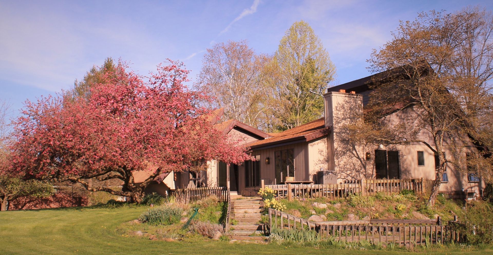 A house with pink flowers on the trees in front of it