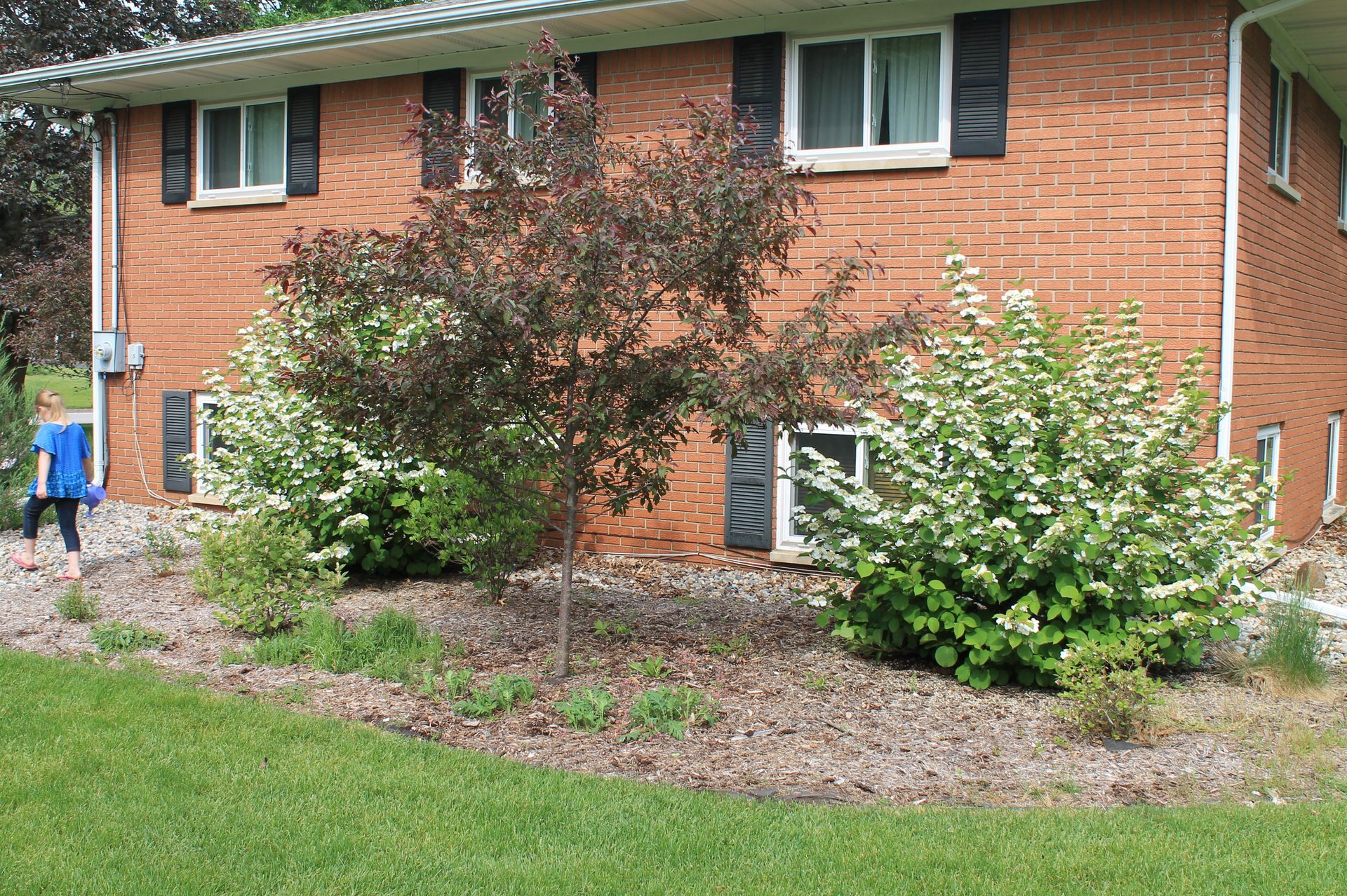 A brick house with black shutters and a blue chair in front of it
