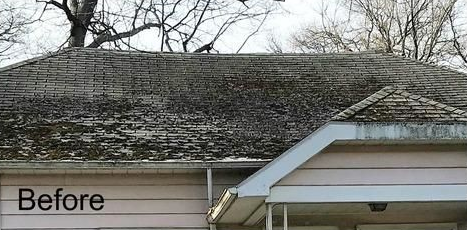 A roof covered in moss and algae with a 