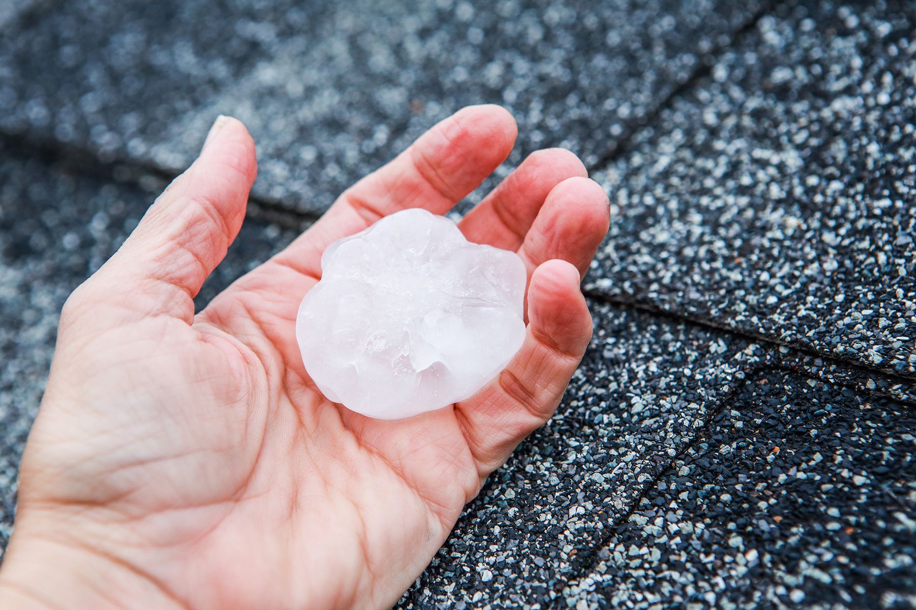 Hand holding a large, irregular hailstone on a black roof.