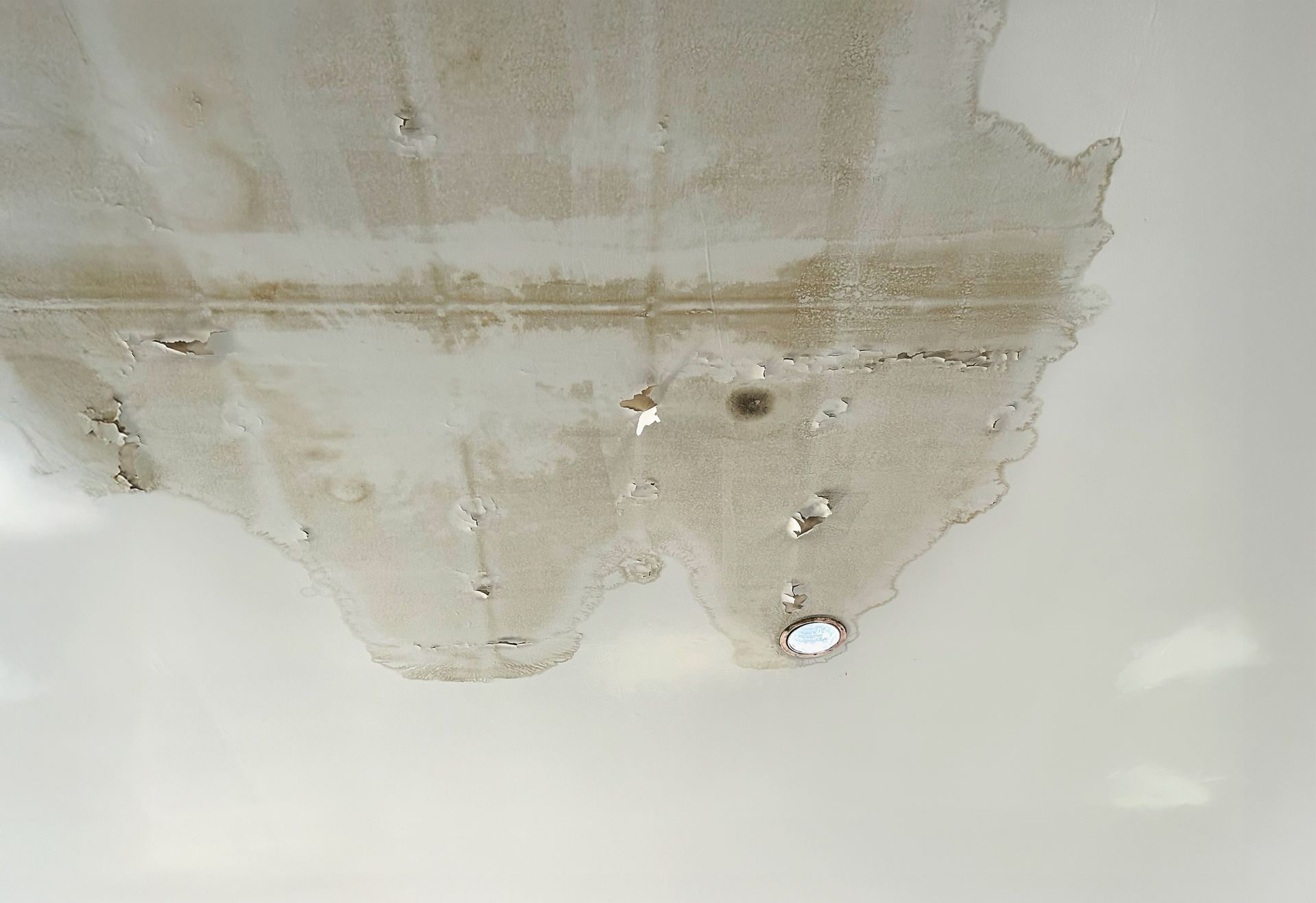 Damaged ceiling with peeling paint, water stains, and a light fixture.