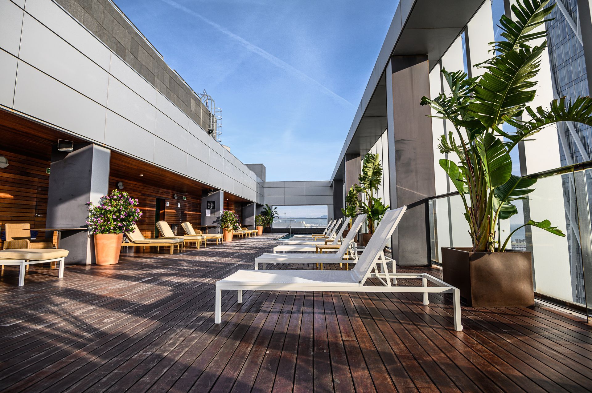 Rooftop deck with white lounge chairs, potted plants, and wooden flooring under a sunny blue sky.