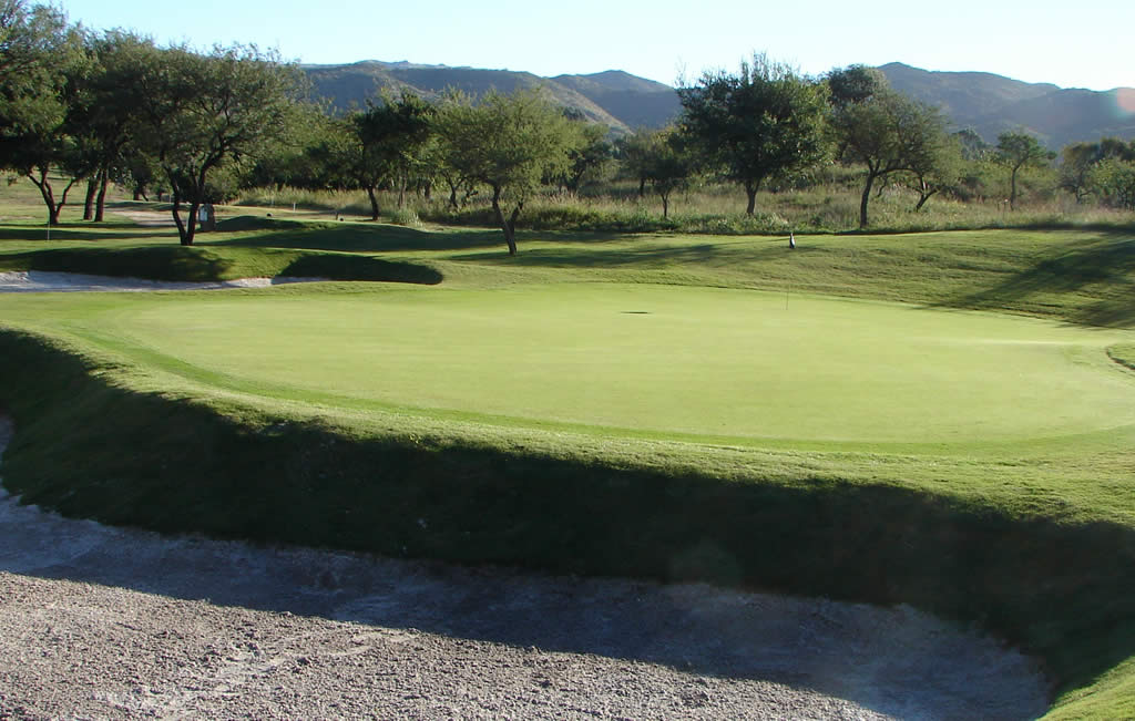 Un campo de golf con un green y árboles al fondo.
