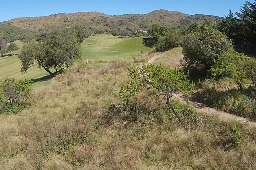 Una vista aérea de un campo de hierba con árboles y montañas al fondo.