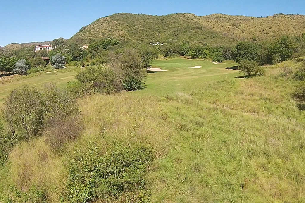 Un exuberante campo verde con árboles y montañas al fondo