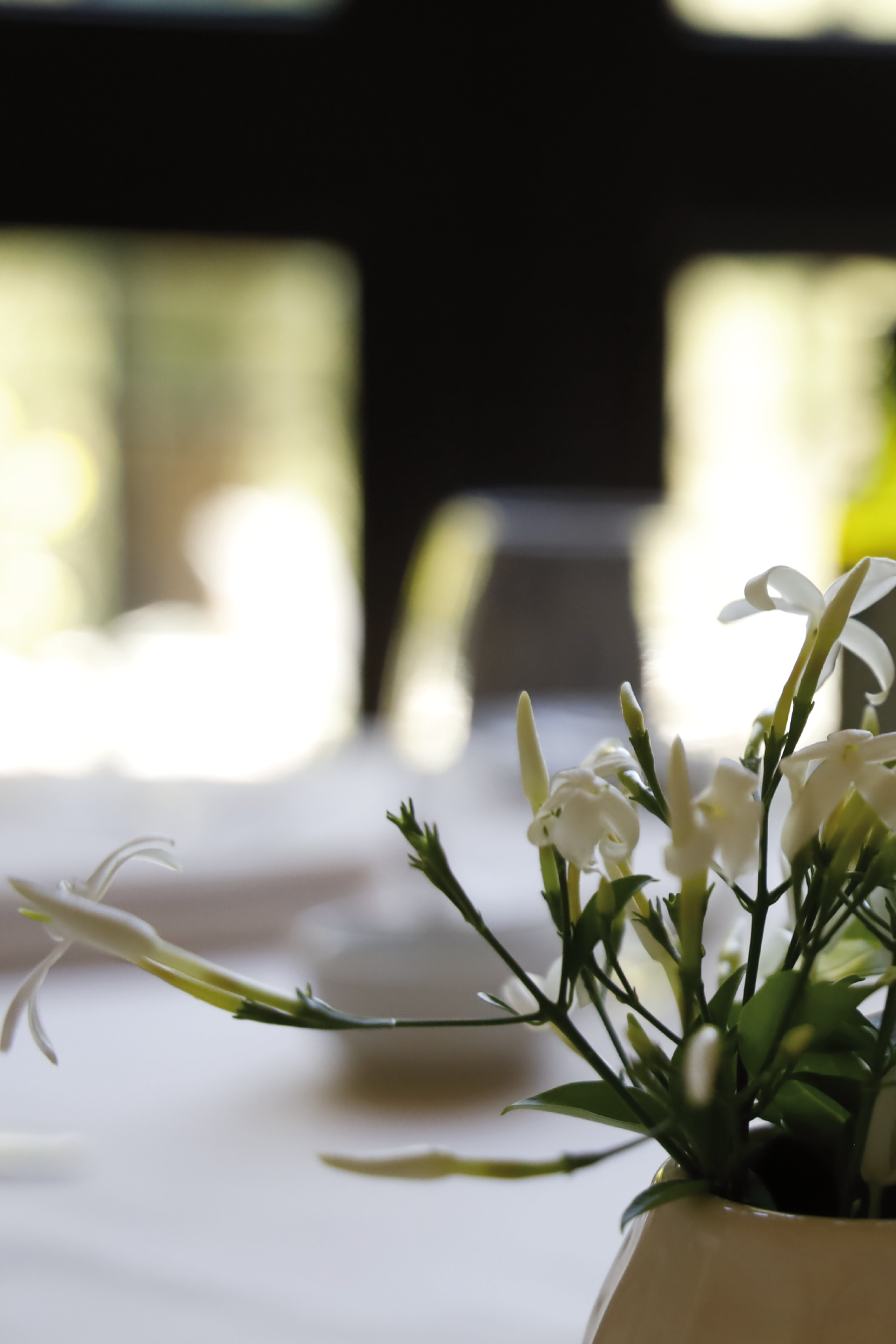 Un jarrón de flores blancas se encuentra sobre una mesa.