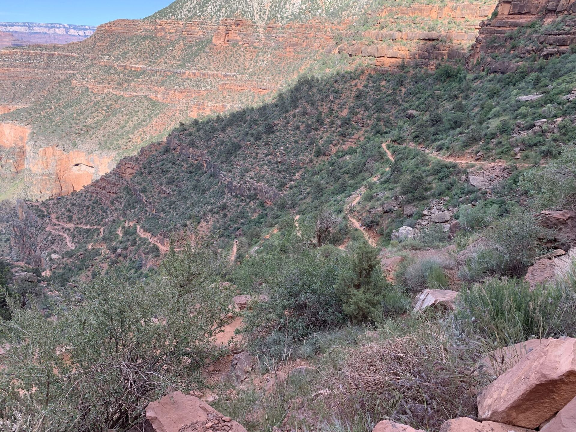A trail winds through a canyon hillside covered in green brush. Red rock cliffs and a blue sky are in the background.