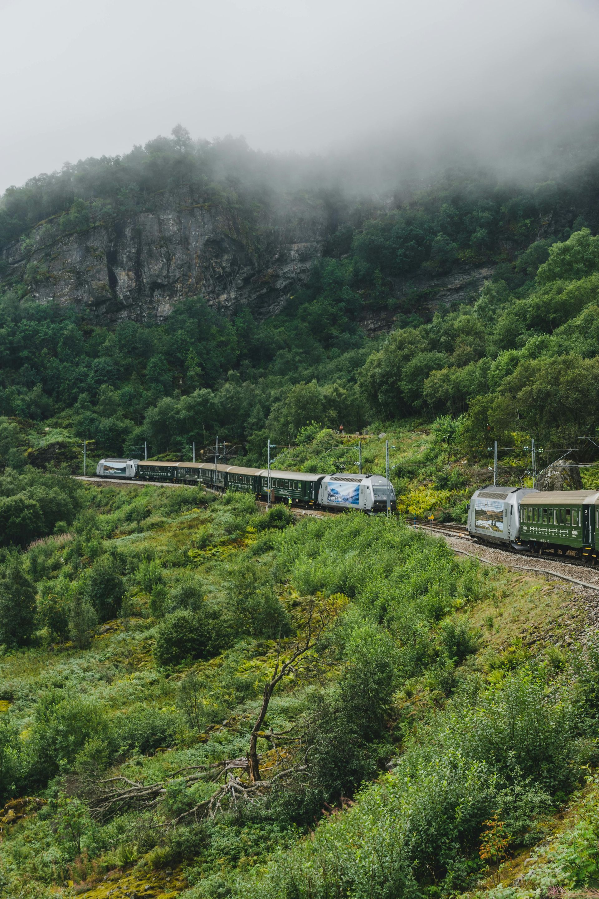 A train is going through a lush green forest on a foggy day.