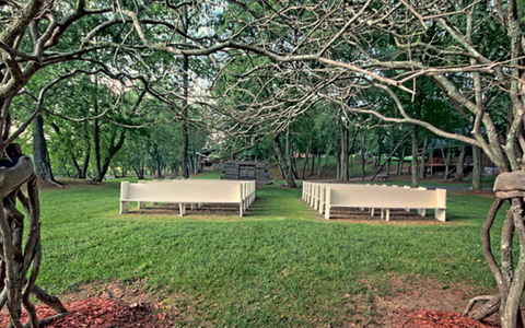 Outdoor park with two wooden benches under leafy trees on a grassy lawn