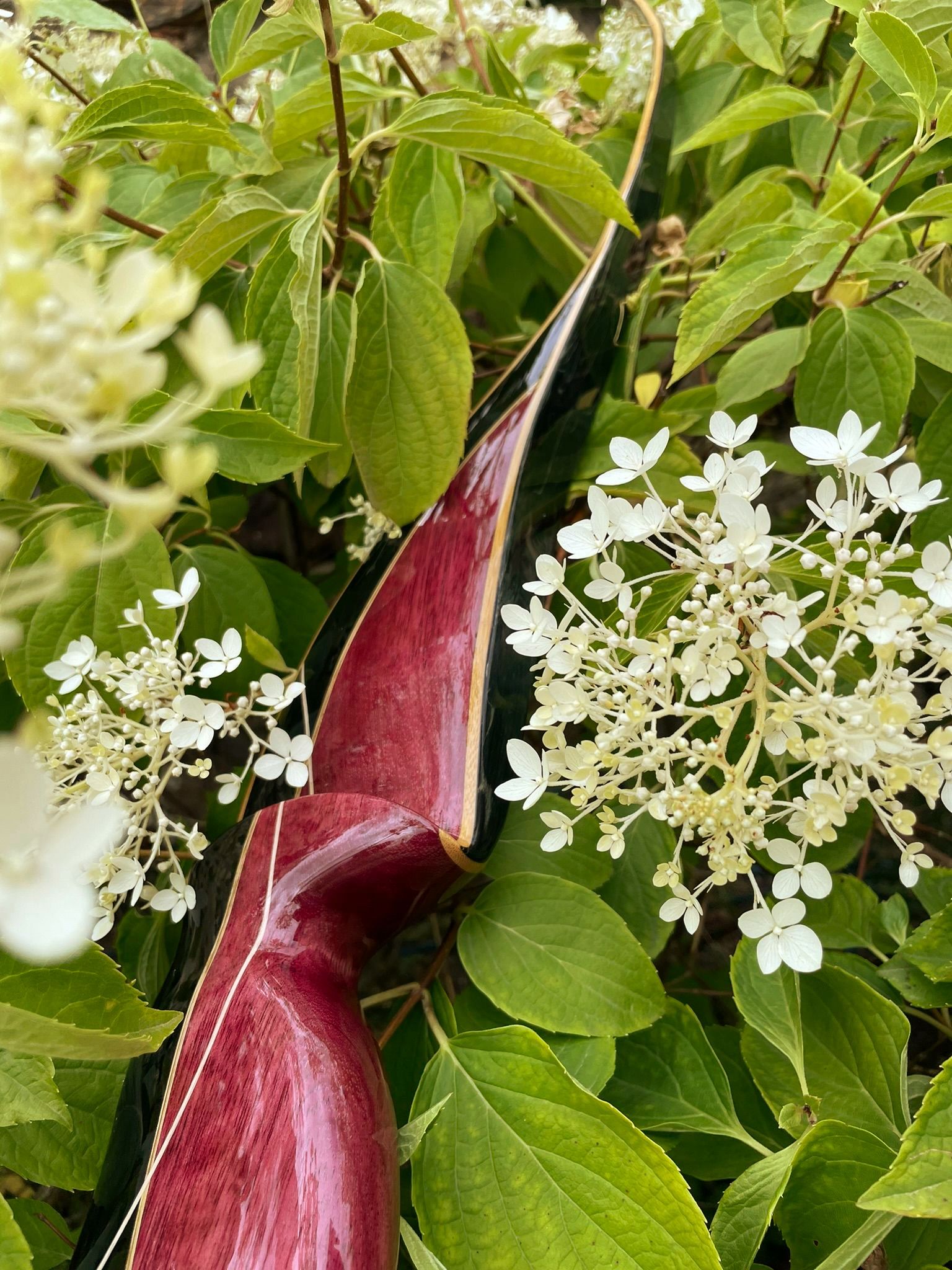 Griffstück Hawara, glänzend, Amaranth, Ebenholz