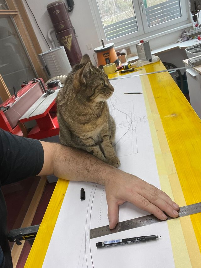 Werkstatt mit Katze Mina