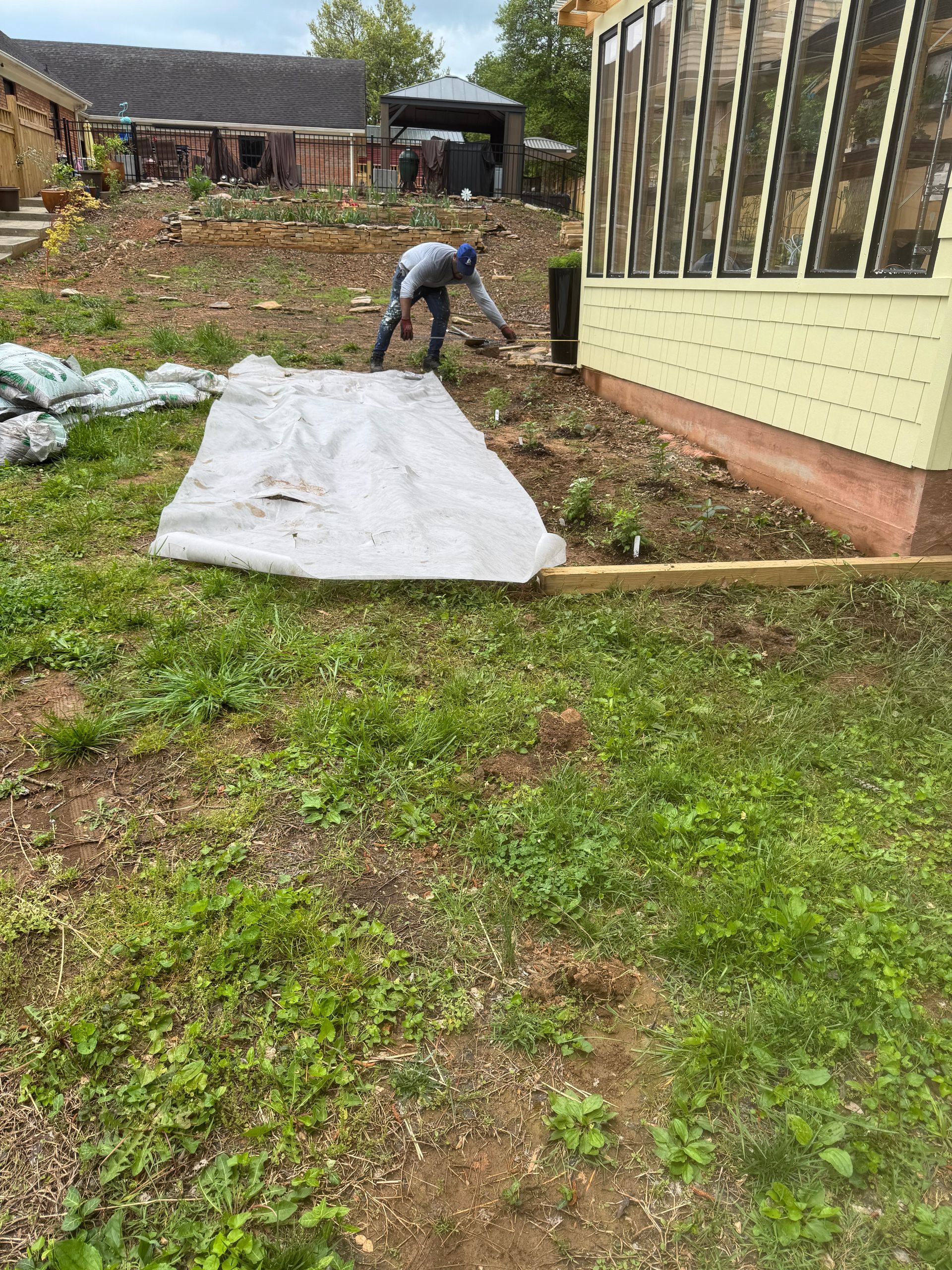 A man is laying a tarp in the grass in front of a house.