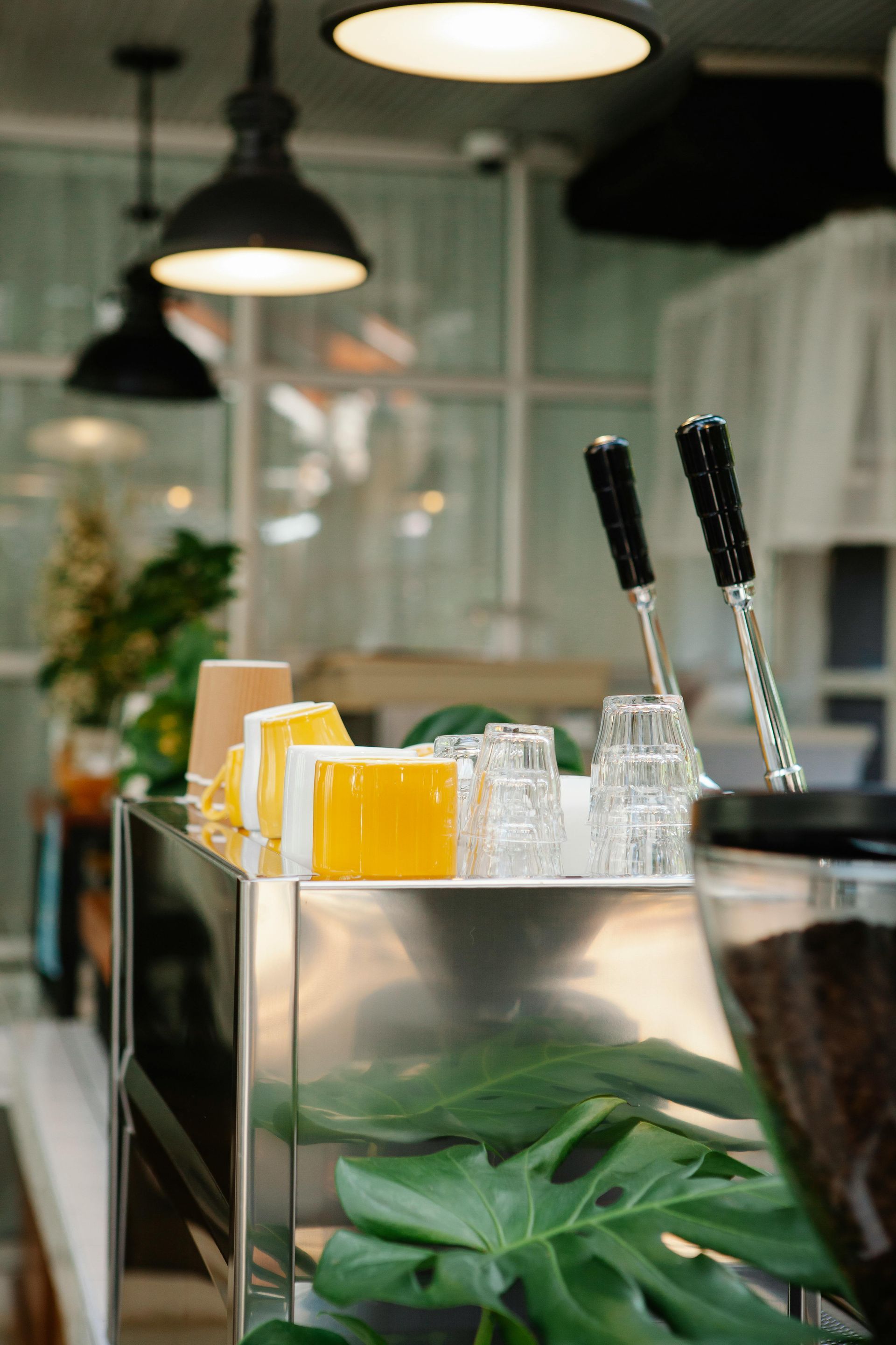 A close up of a bar in a restaurant with a plant in the foreground.