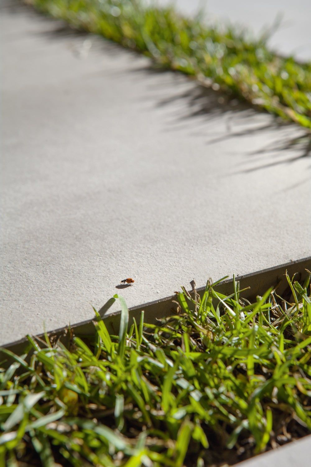Terrassenfliese grau