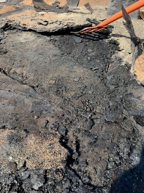A person is digging in the dirt with a pickaxe