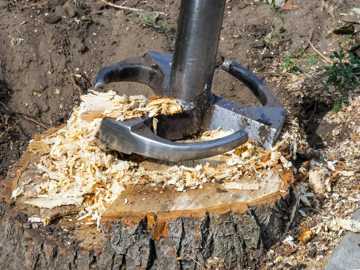 stump grinded services in Red Deer