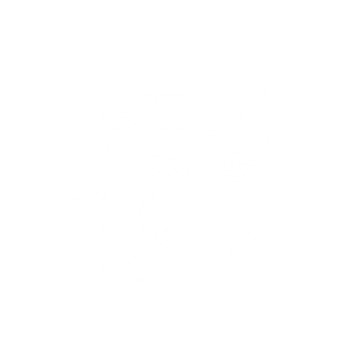 Robertson IT Solutions logo mark white