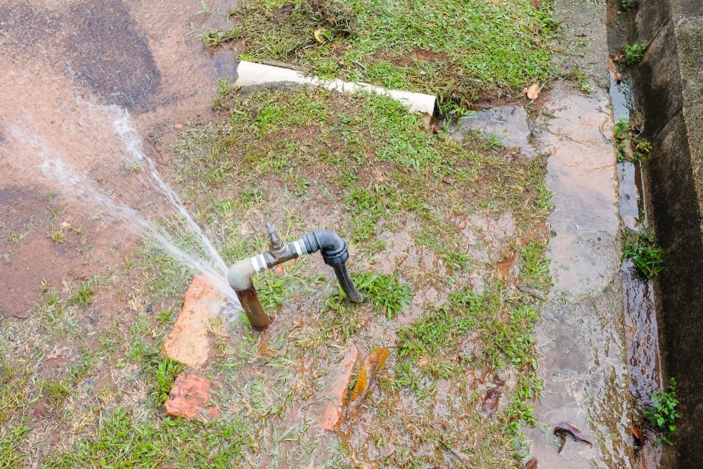 Sprinkler spraying water over a muddy grassy yard with a black pipe and concrete edging