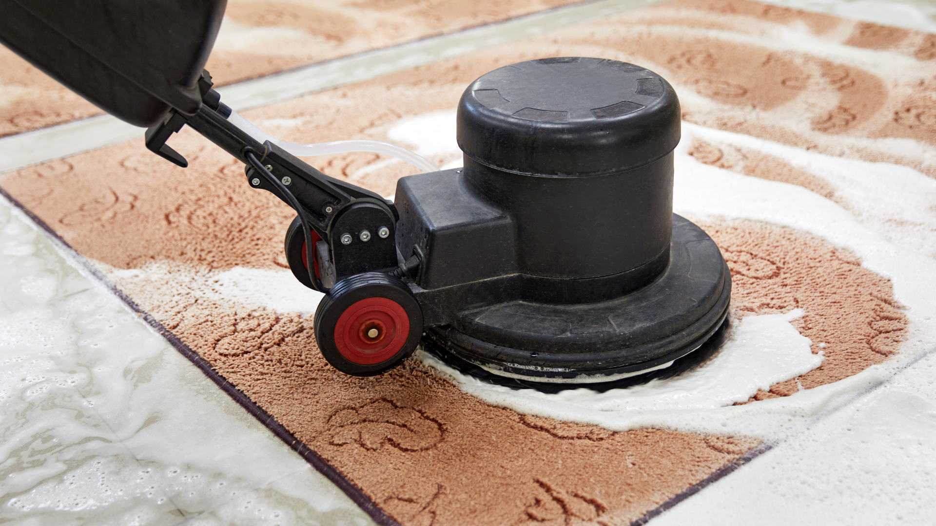 A person is cleaning a rug with a machine.